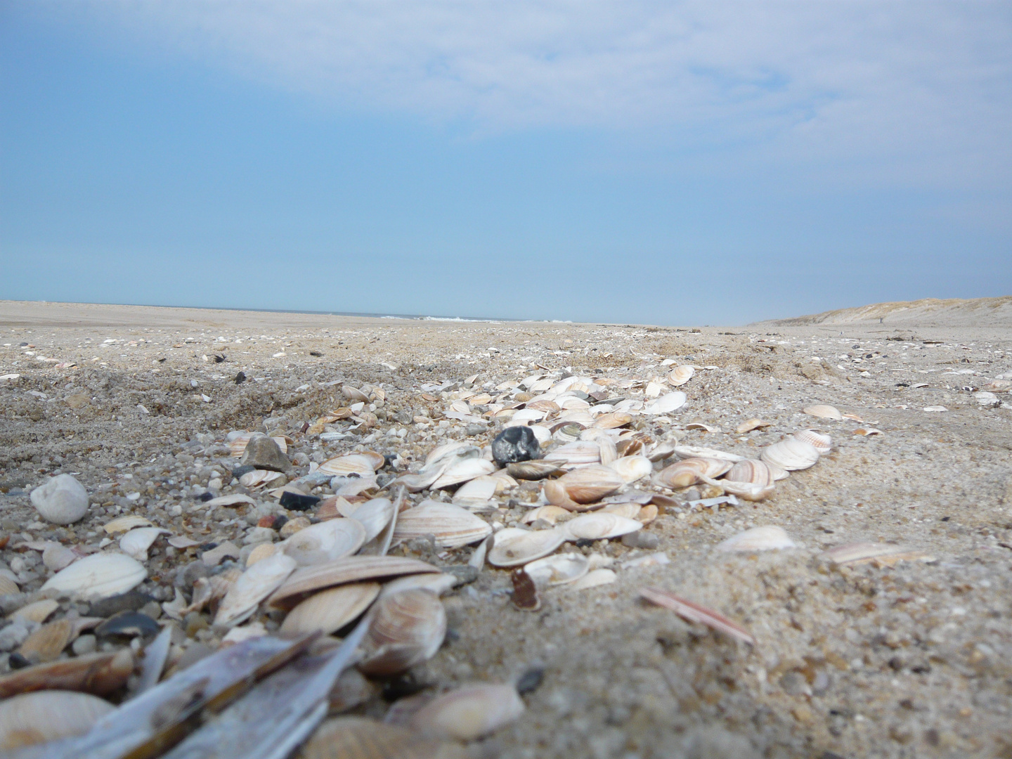 Nach der Flut kommt die Ebbe