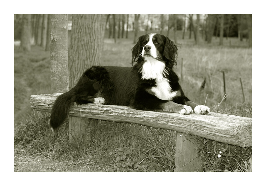 ... nach der ganzen Fotografiererei brauch ich jetzt erst mal ne Verschnaufpause ...