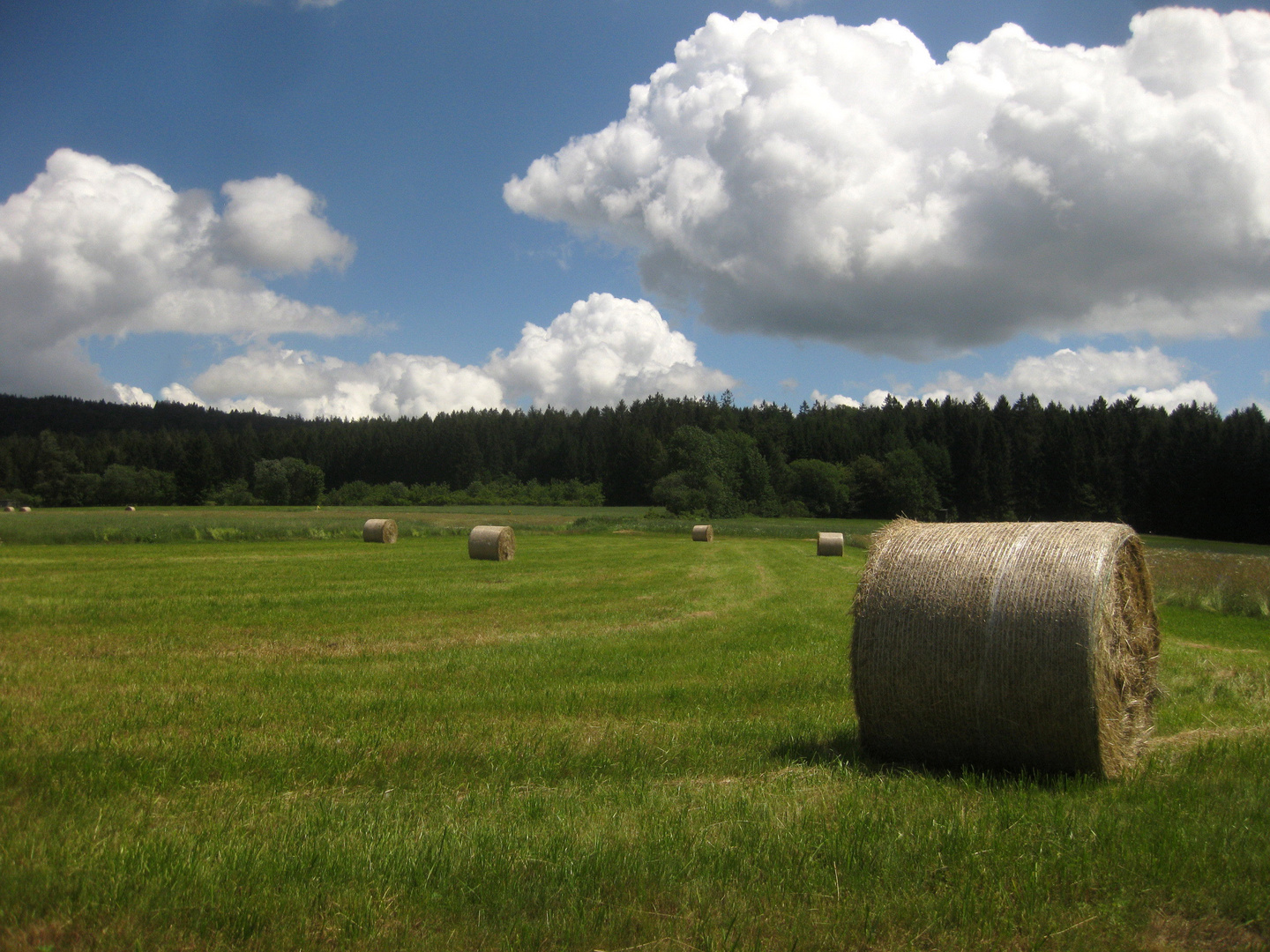 Nach der Heuernte