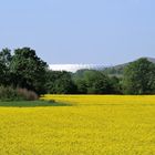 Nach der Meisterschaft siegt die Natur...