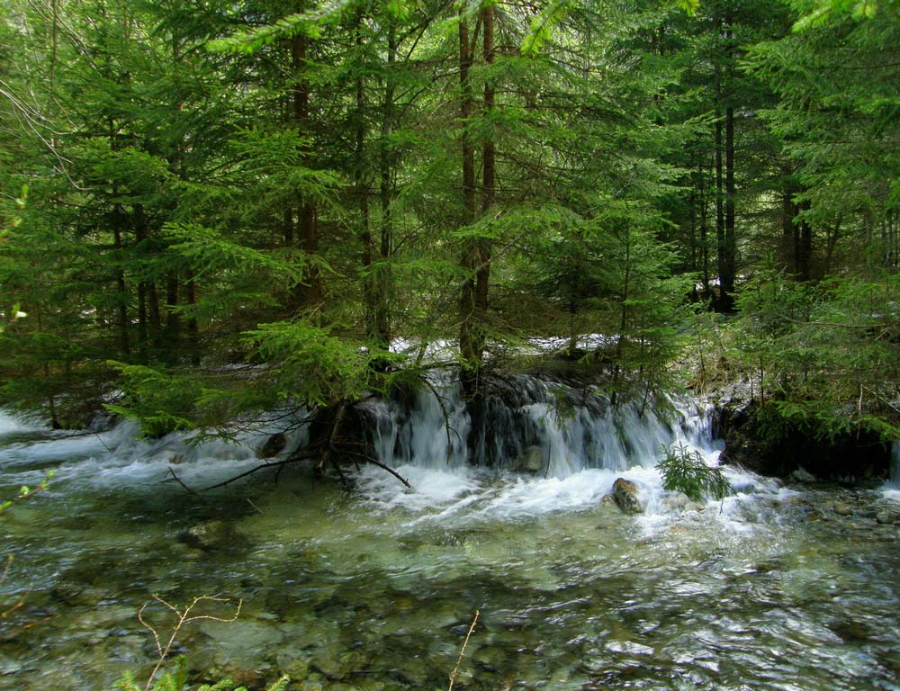 Nach der Schneeschmelze