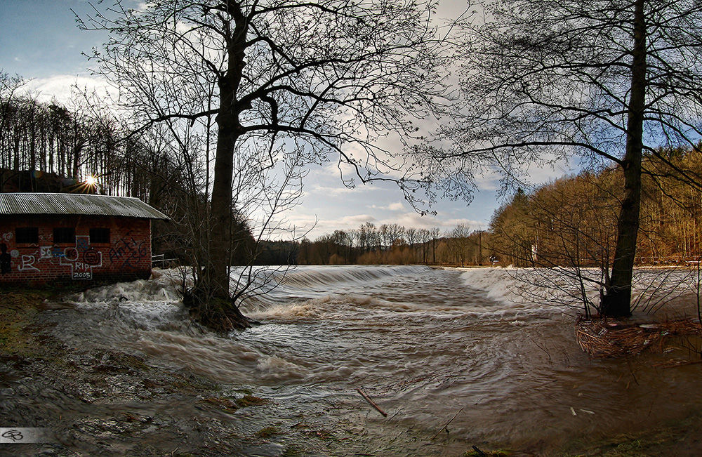 Nach der Schneeschmelze kommt ..... #2