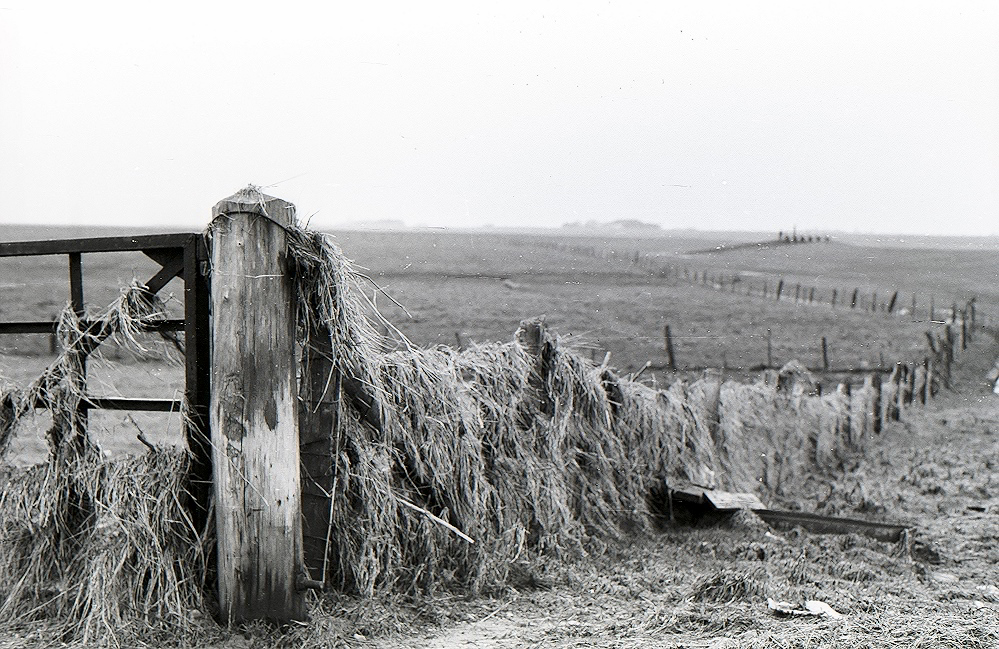 Nach der Sturmflut