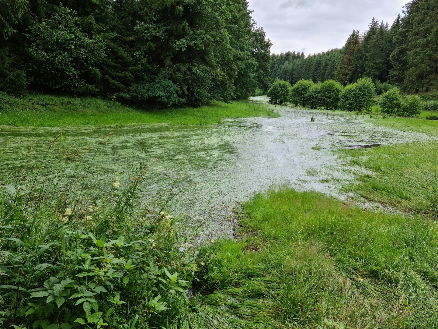 nach der Überschwemmung