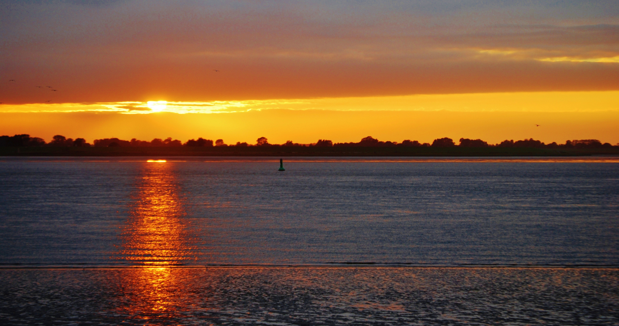 Nach Ebbe kommt Flut .... Unterweser mit Blick von HBhafen