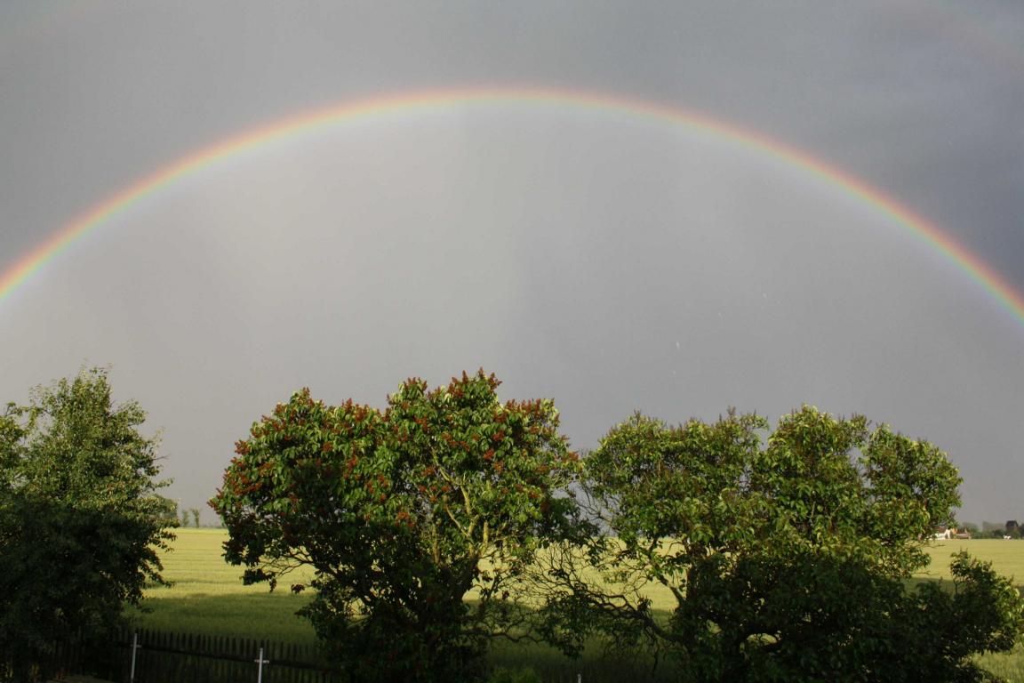 nach einem gewitter...........