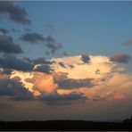 Nach einem Gewitter 1