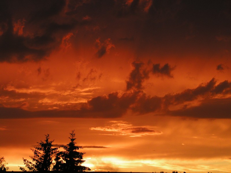 Nach einem Gewitter