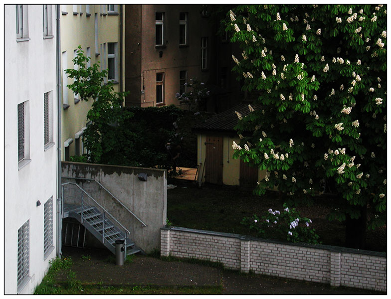 Nach einem Gewitter im Frühling (Pankow 6)