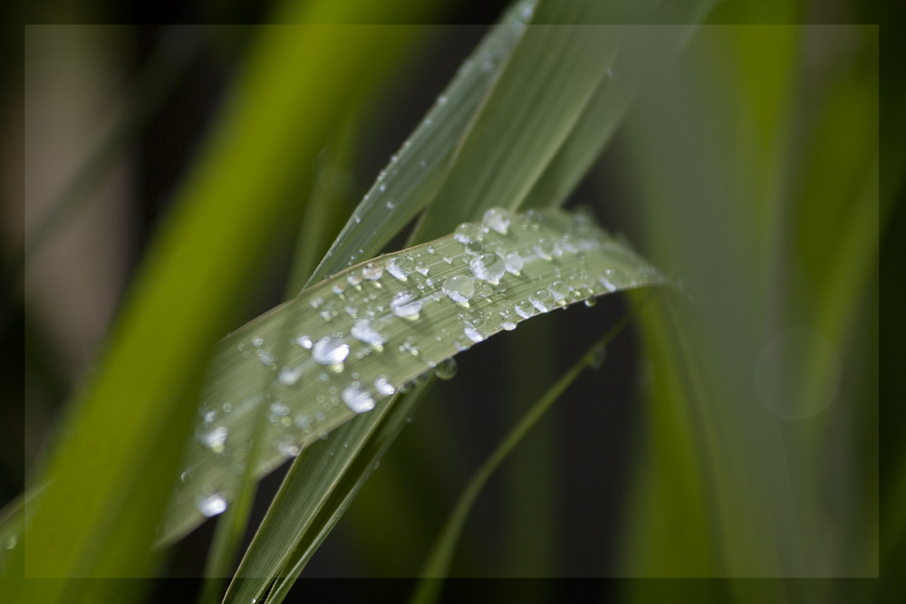 Nach einem kurzem Sommerregen