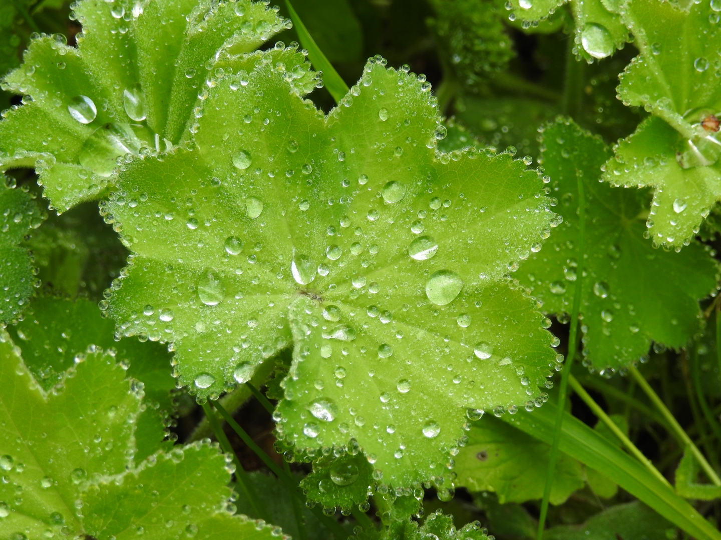 Nach einem kurzen Regenschauer