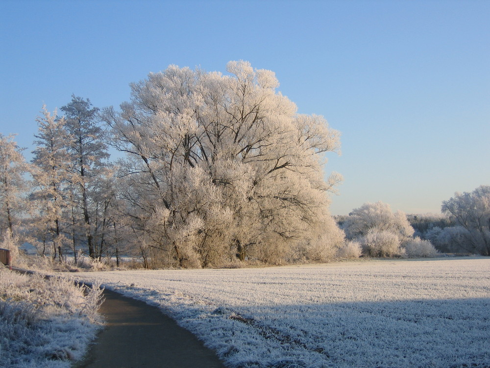 Nach einem Morgennebel