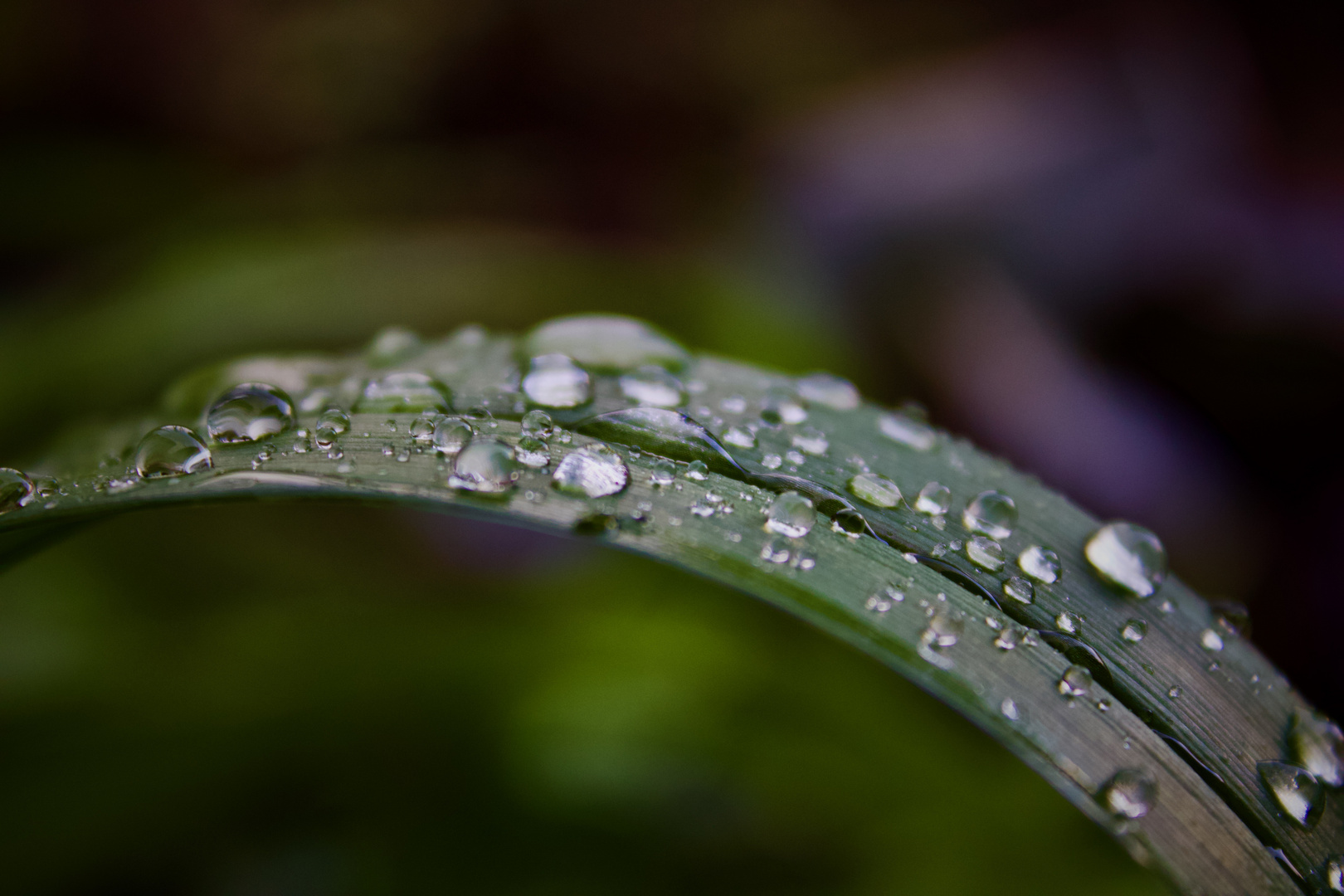 Nach einem Regen Teil 1