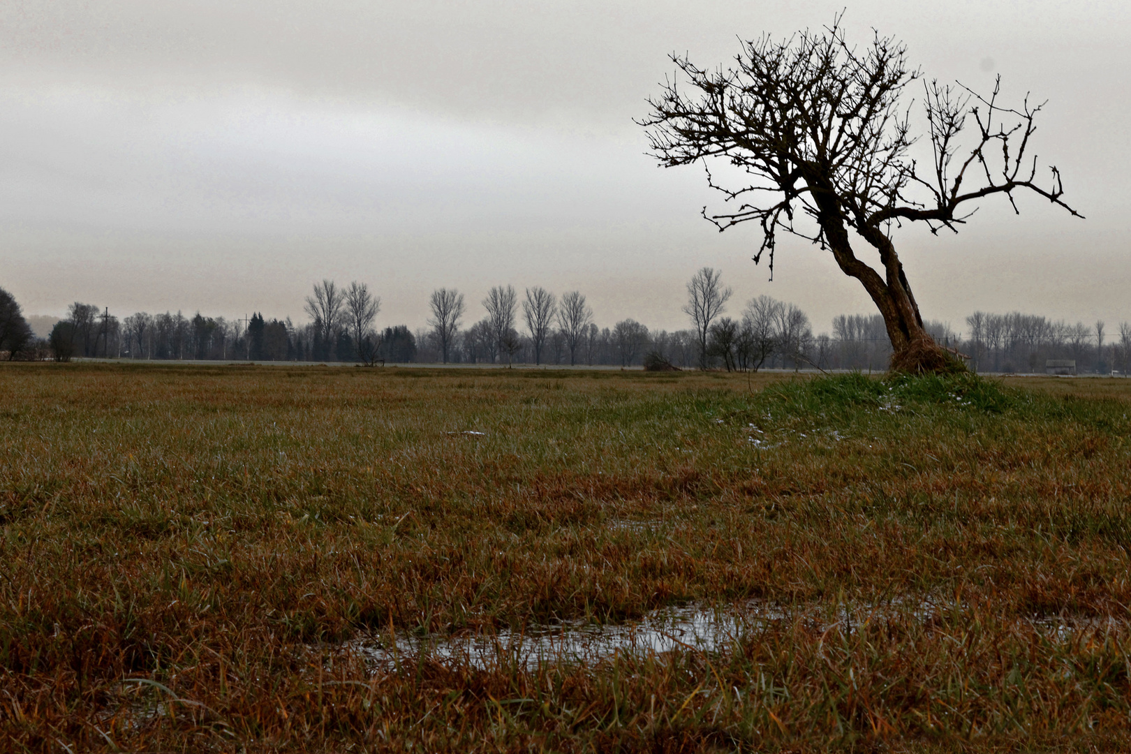 Nach einem Regenguss