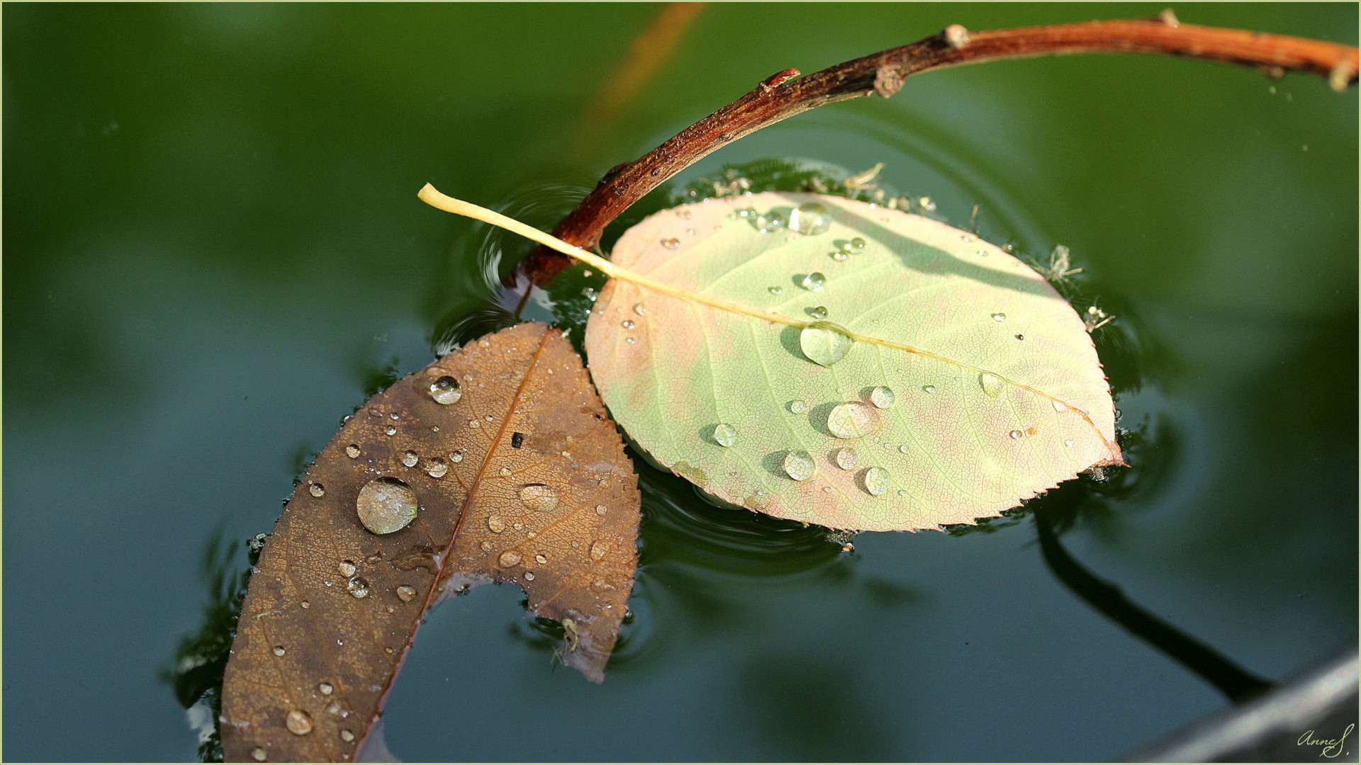 Nach einem Regenschauer