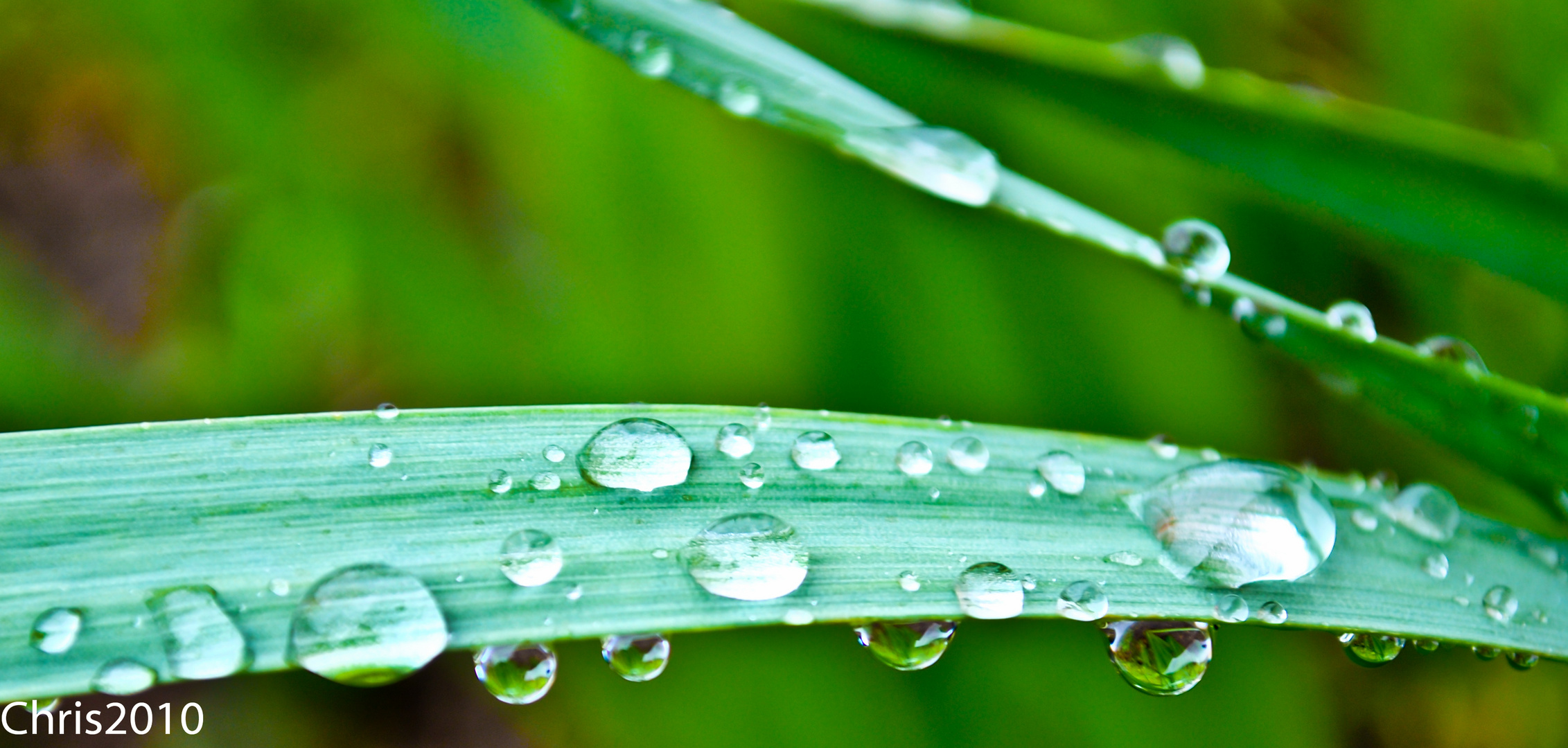 Nach einem Regenschauer