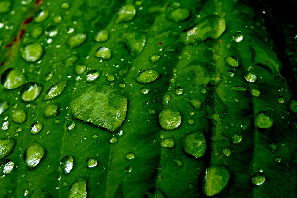 Nach einem Regenschauer