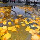 Nach einem regnerischen Tag in Basel