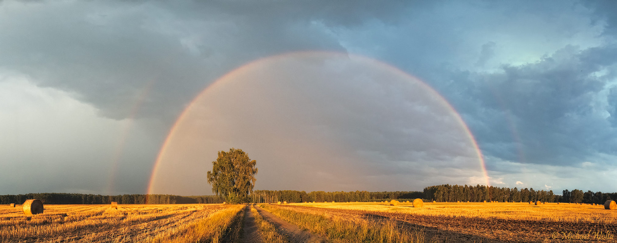 Nach einem Sommerabendregen