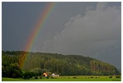 Nach einem Sommerregen...