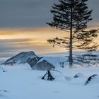 Nach einem Wintersturm