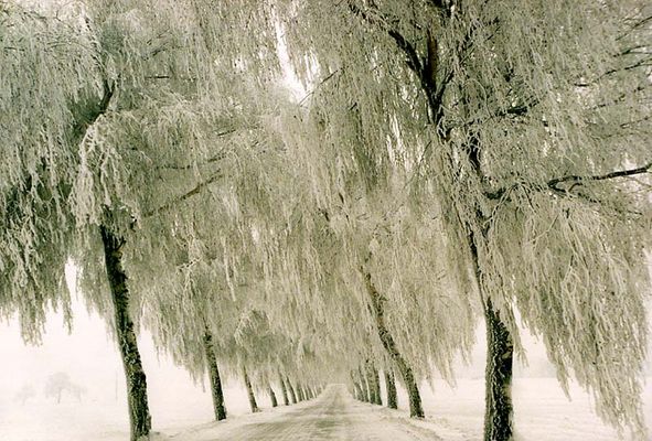 nach einem Wintersturm