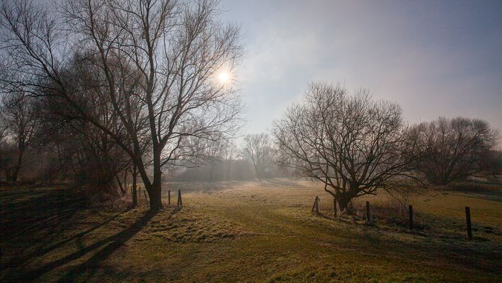 Nach einer frostigen Nacht