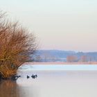 nach einer frostigen Nacht