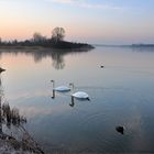 nach einer frostigen Nacht...