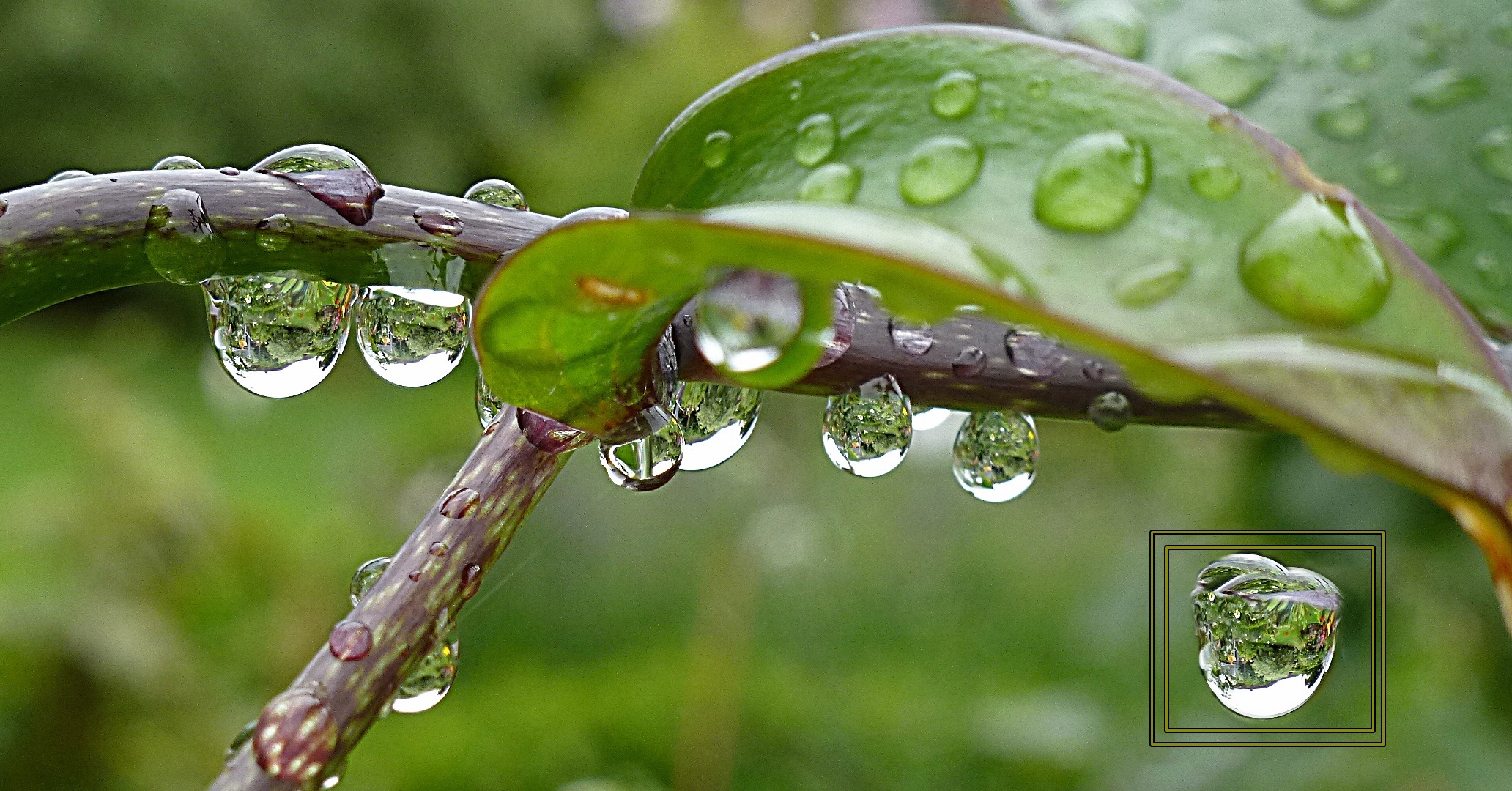 Nach einer Regenschauer