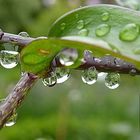 Nach einer Regenschauer