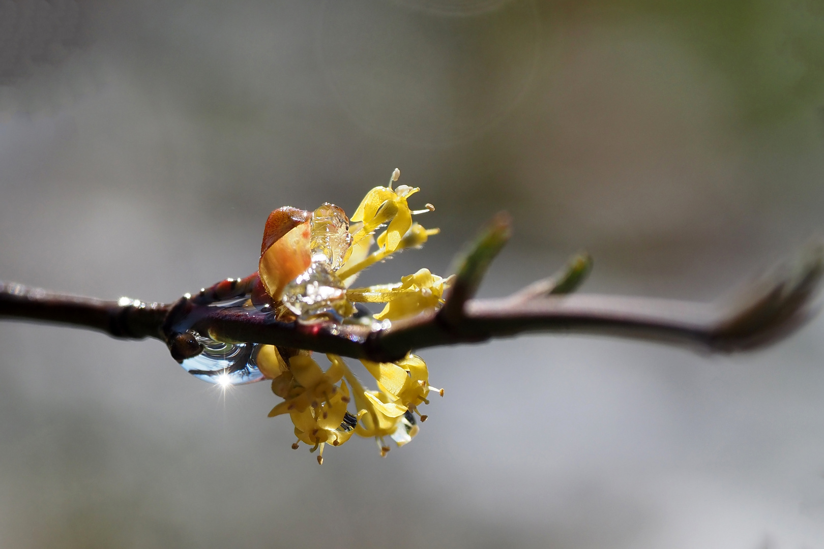 nach eis und schnee