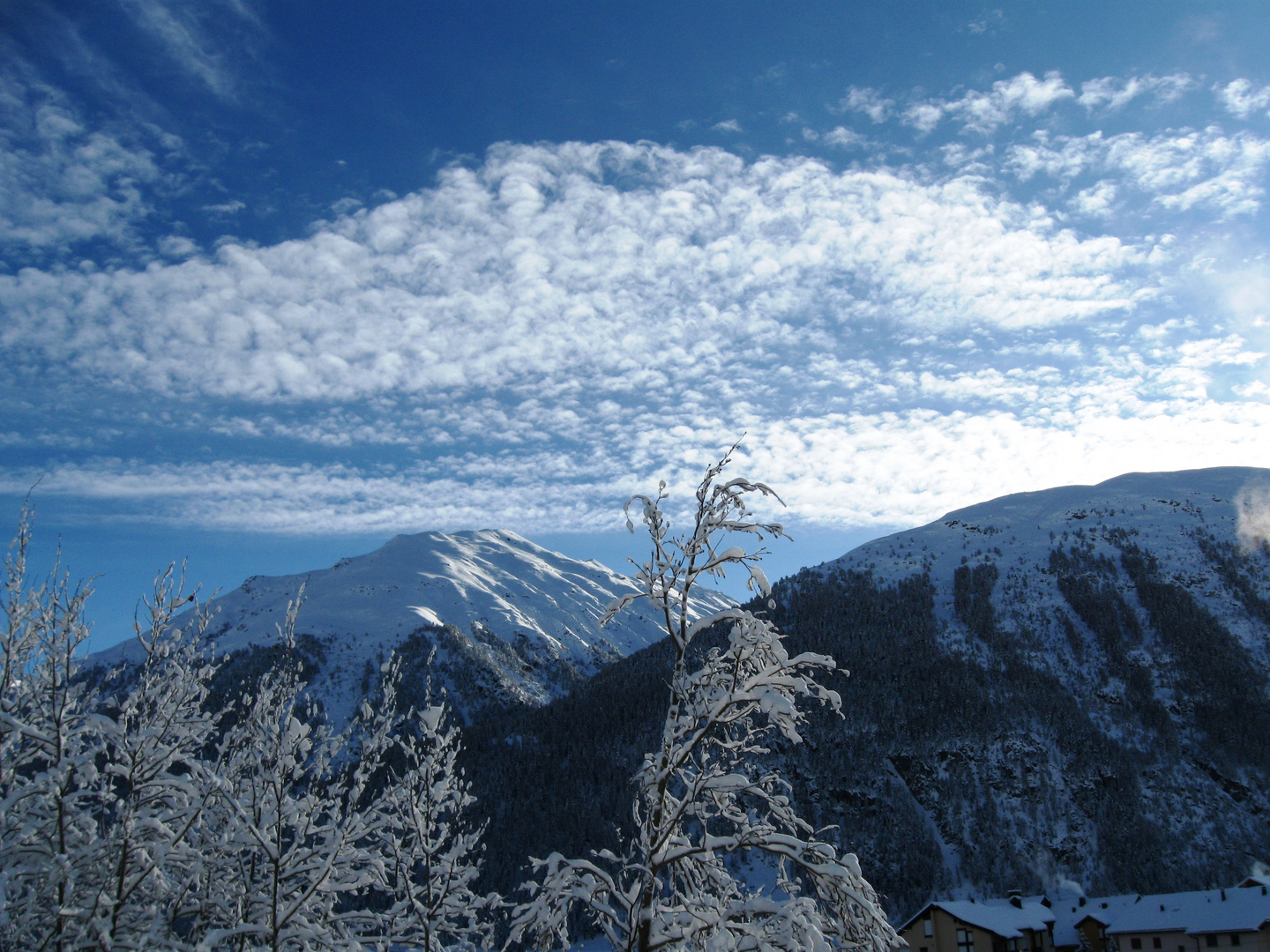 nach erstem Schnee im Engadin 2009