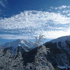 nach erstem Schnee im Engadin 2009