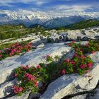 Nach Feierabend im Seefeld