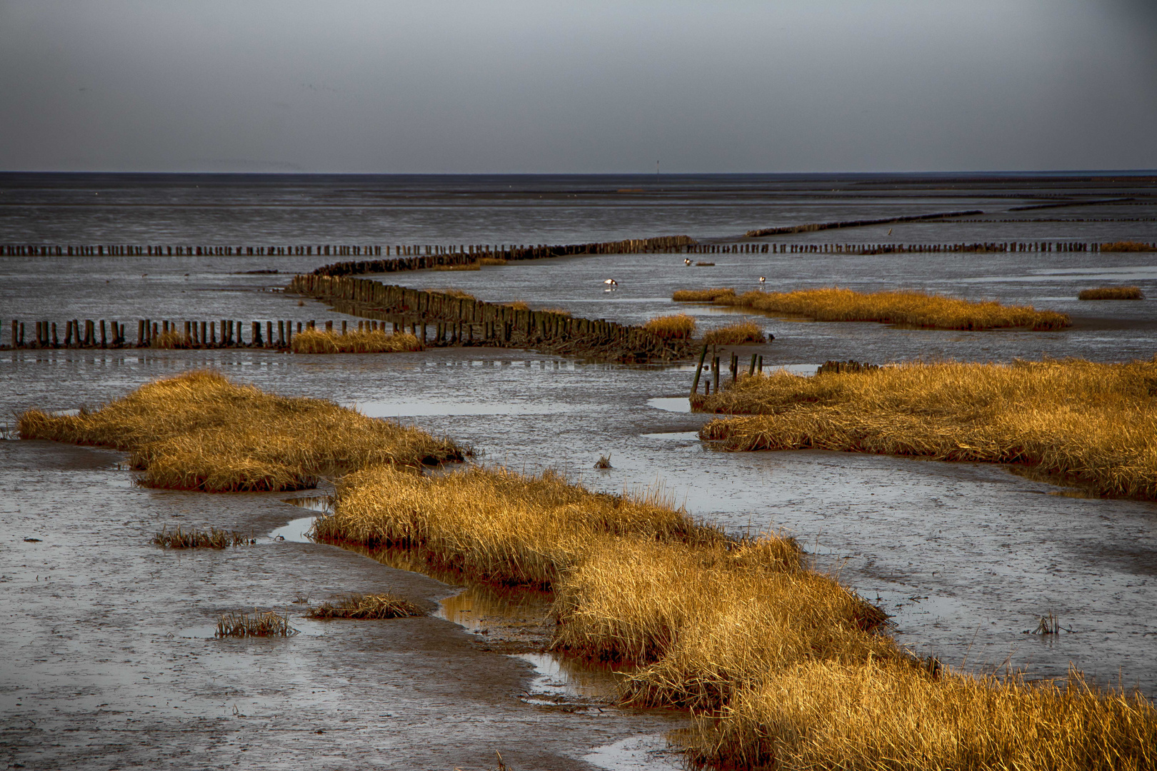 Nach Friederichskoog