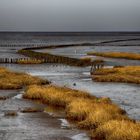 Nach Friederichskoog