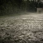 Nach Gewitter und Hagel