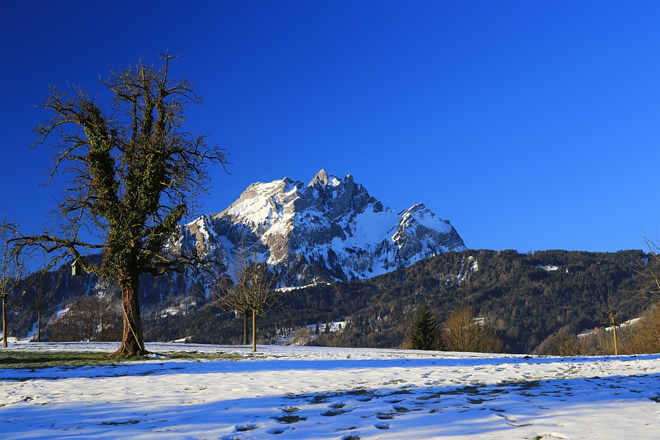 nach grauen Tagen unter der Nebeldecke .....