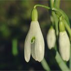 Nach gruseligem Aprilwetter ...