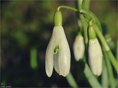 Nach gruseligem Aprilwetter ...