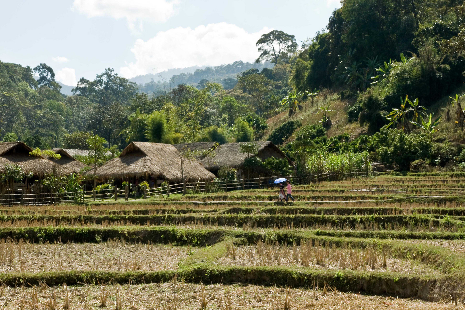 Nach Hause (Dorf im Norden von Thailand)