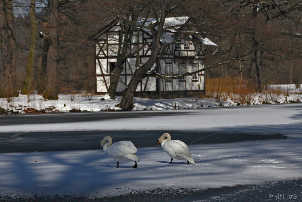 nach Hause gehen