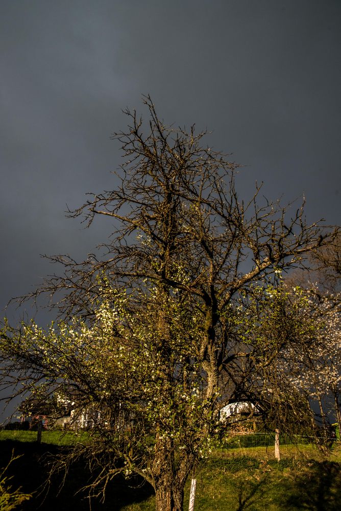 nach jedem Regen folgt auch schönes Wetter