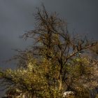 nach jedem Regen folgt auch schönes Wetter