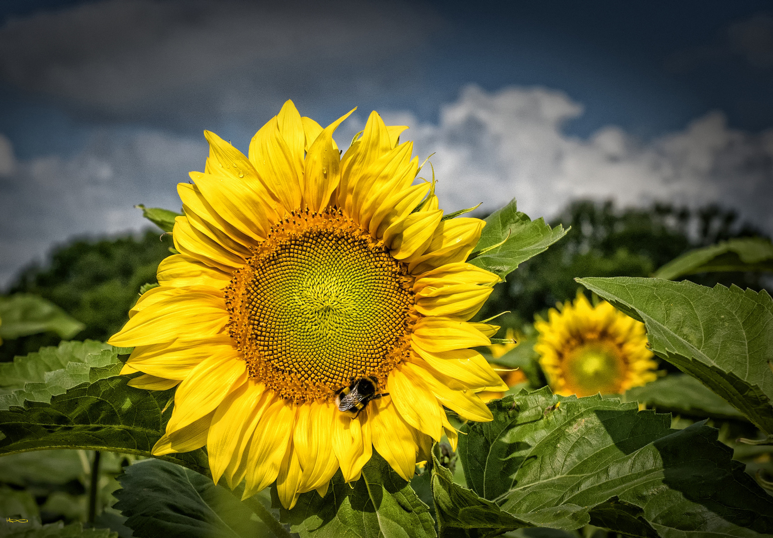 nach jedem Regen kommt wieder Sonnenschein