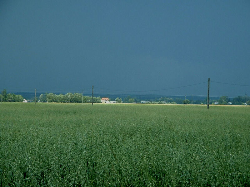 Nach jedem Regen scheint die Sonne