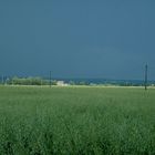 Nach jedem Regen scheint die Sonne