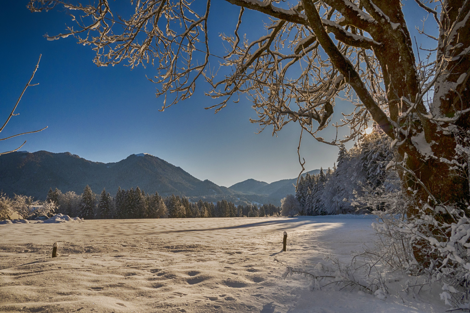 Nach Kalter Winternacht!