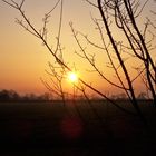 Nach langen dunklen Wochen, scheint sich der Frühling seinen Weg zu uns zu bahnen.